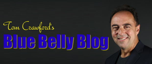 BlueBellybanner